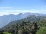 munnar8