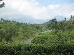 A view of Munnar