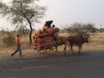 The roads in India are different…